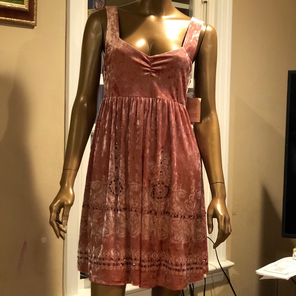 NWT Free people pink velvet dress size M